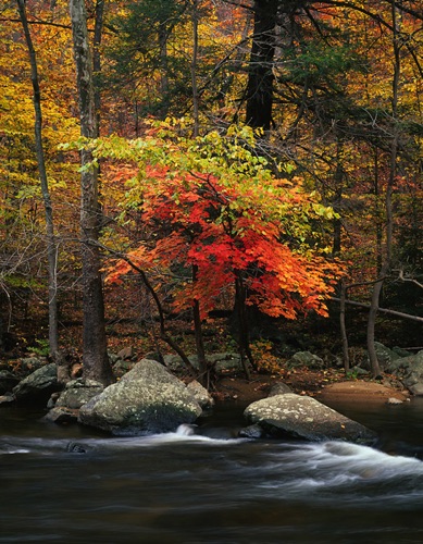 South Branch, Raritan River, Ken Lockwood Gorge, Hunterdon County, NJ (MF).jpg